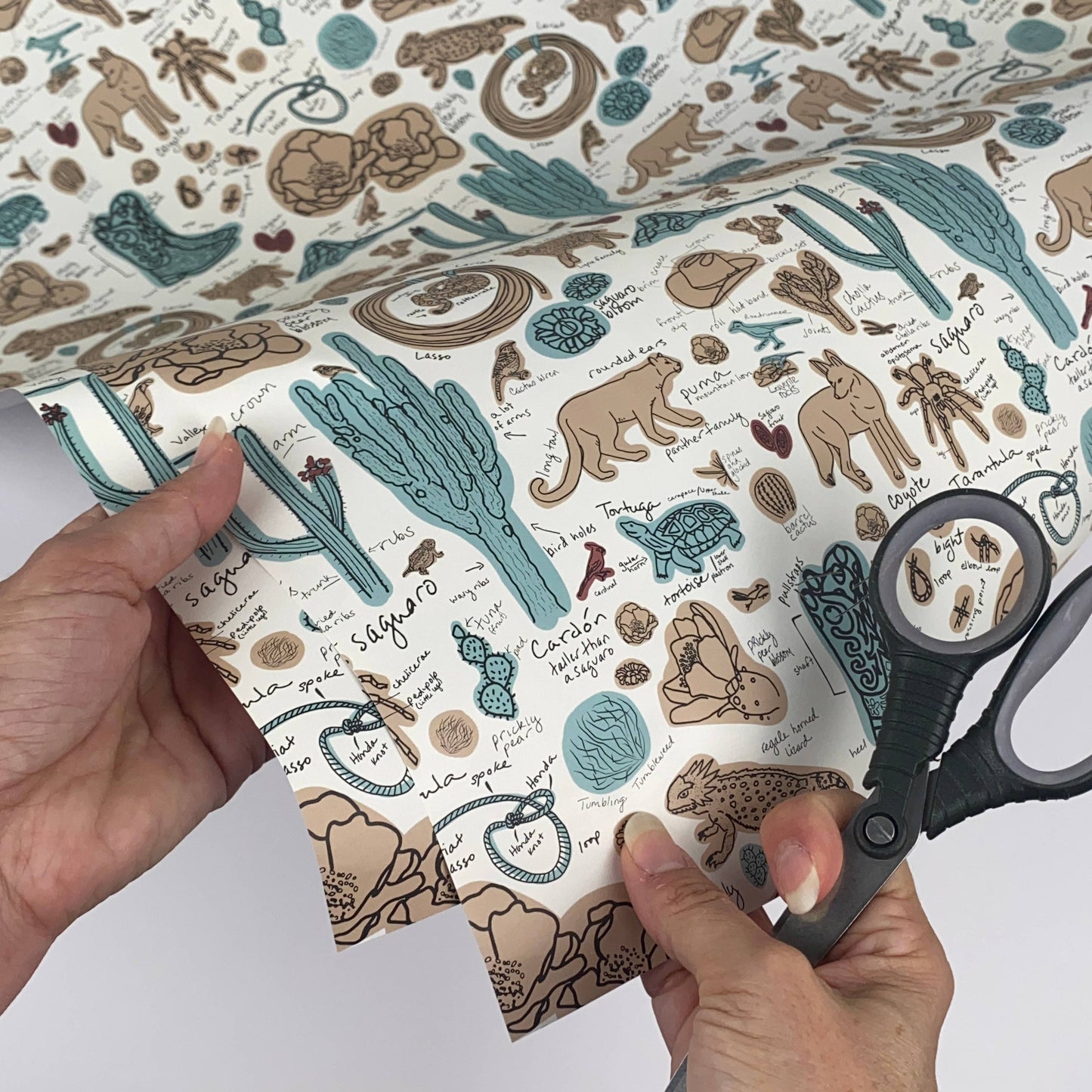 Desert Sketchbook Gift Wrap and Artist Paper