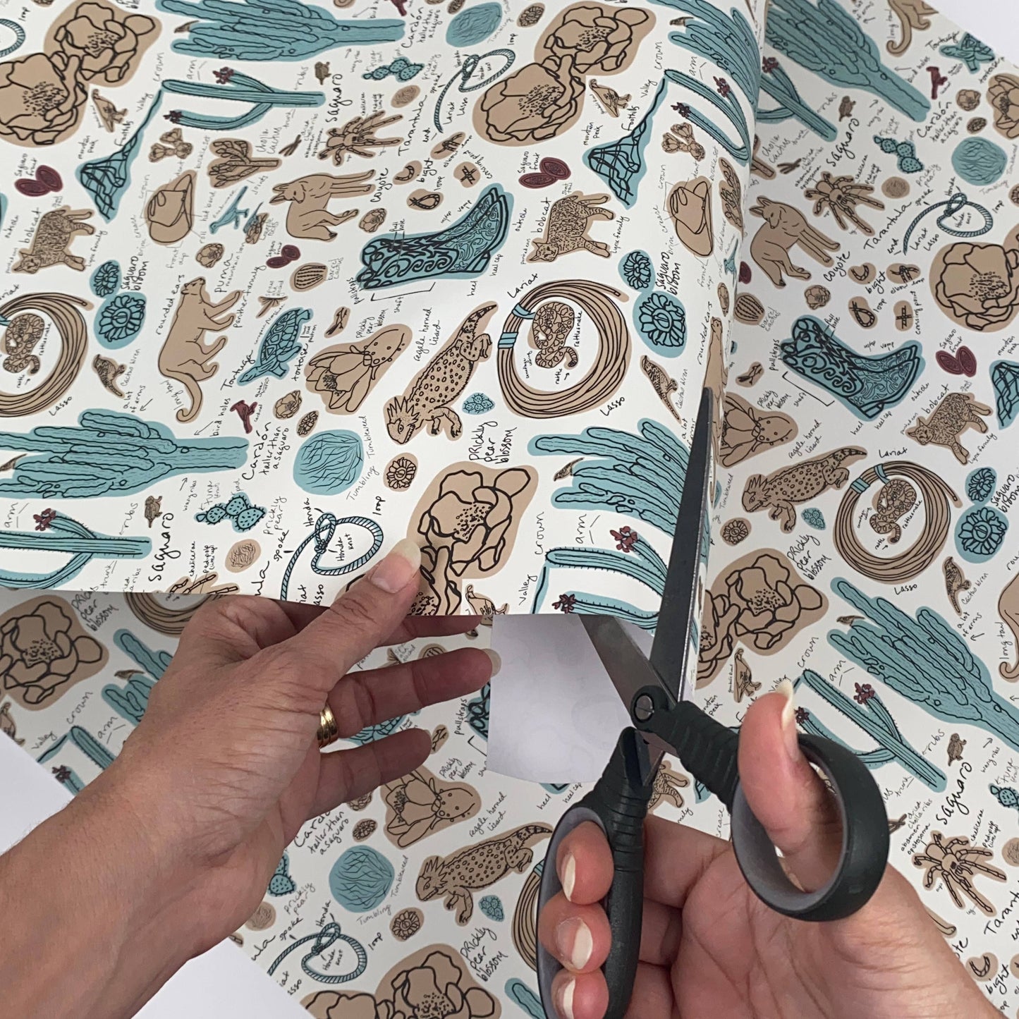 Desert Sketchbook Gift Wrap and Artist Paper