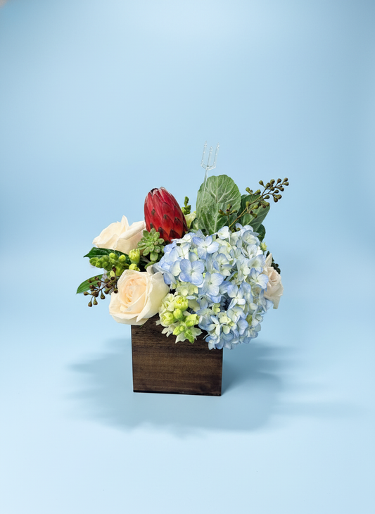 The Modern Garden Box