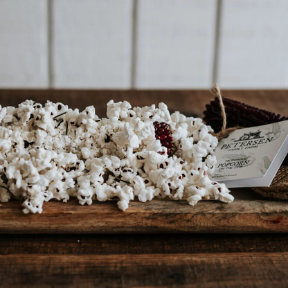 Microwave Popcorn on the Cob  - Hand-Harvested & Burlap